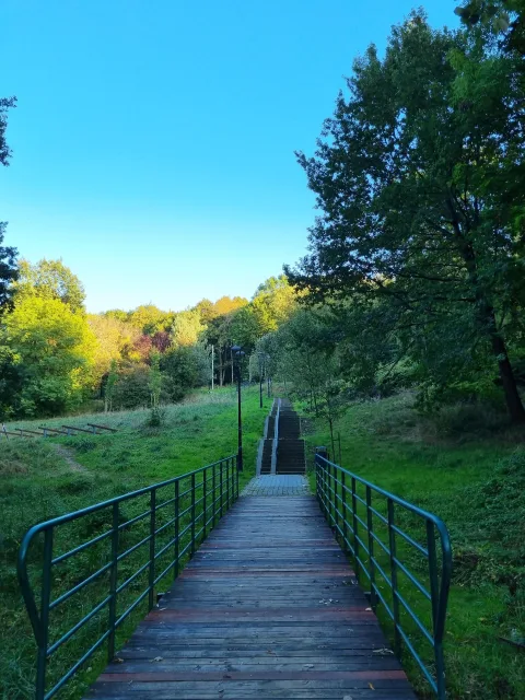 Cieślarówka