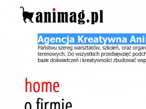 Agencja Kreatywna Animag.pl