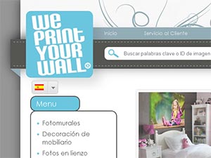 We Print Your Wall